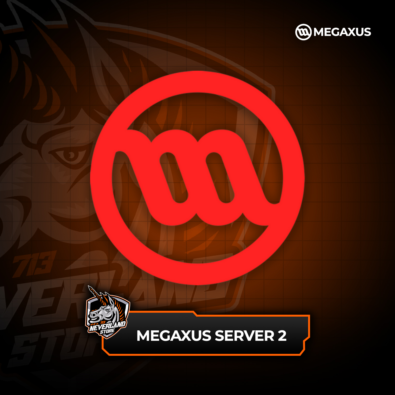 Megaxus Server 2